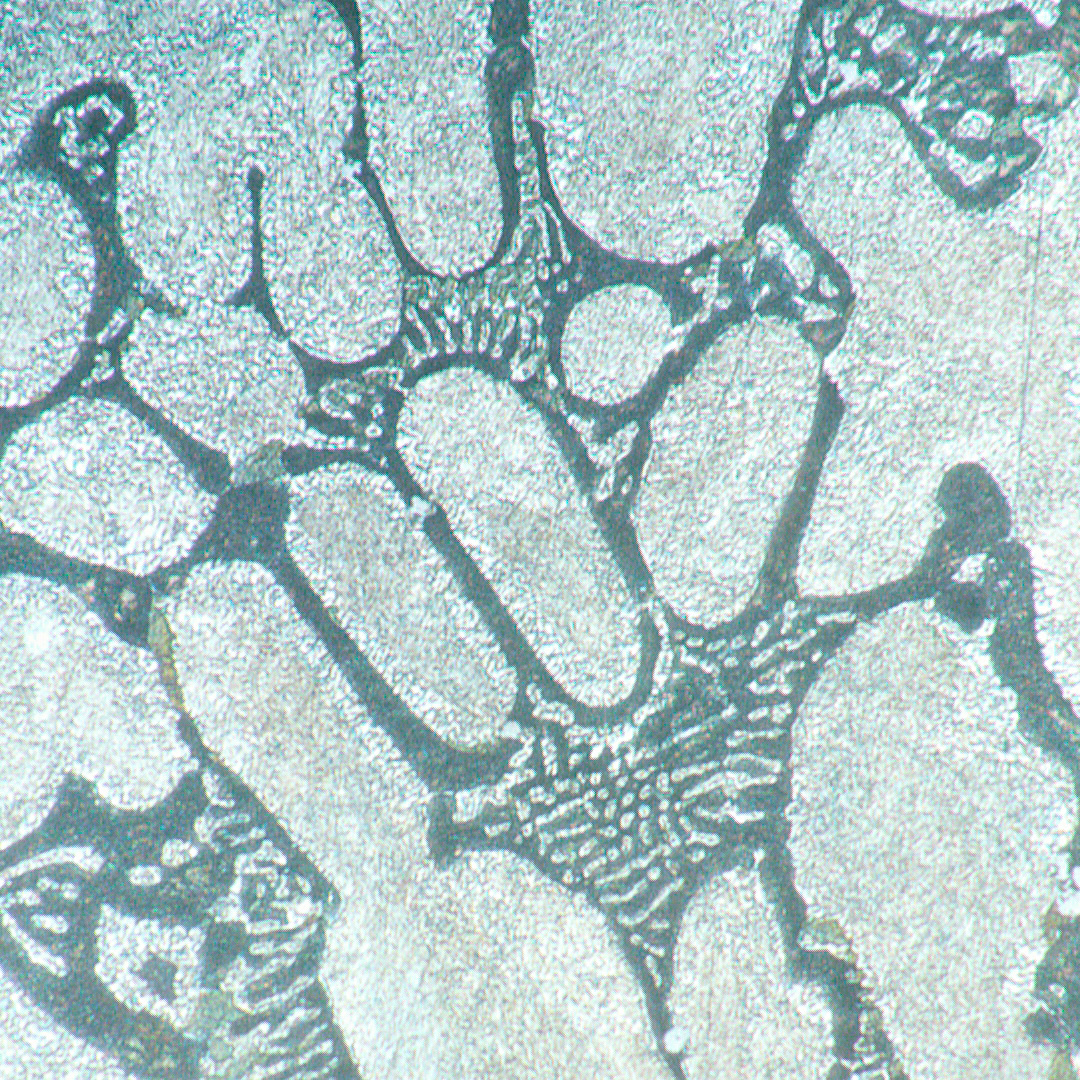 Микроскоп металлографический инвертированный MAGUS Metal V700