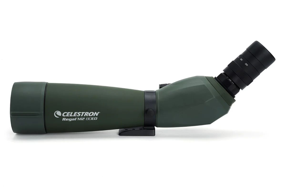 Зрительная труба Celestron REGAL M2 80 ED 20-60x80mm